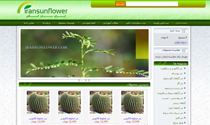 طراحی سایت ایران سان فلاور